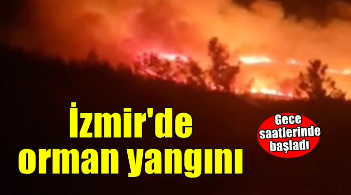 Urla da orman yangını