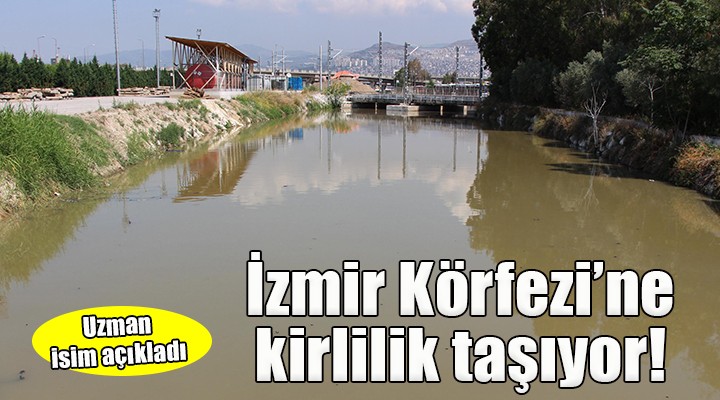 Uzman isim açıkladı... İzmir Körfezi ne kirlilik taşıyor...