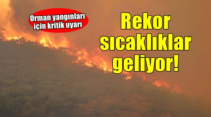 Uzmanlardan 'sıcaklık' ve 'orman yangını' uyarısı