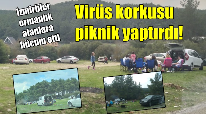 Virüs korkusu piknik yaptırdı! İzmirli oralara akın etti...