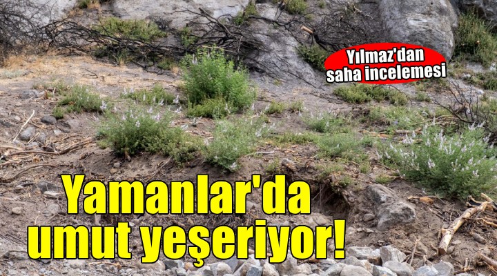 Yamanlar da umut yeşeriyor: Yılmaz dan saha incelemesi!