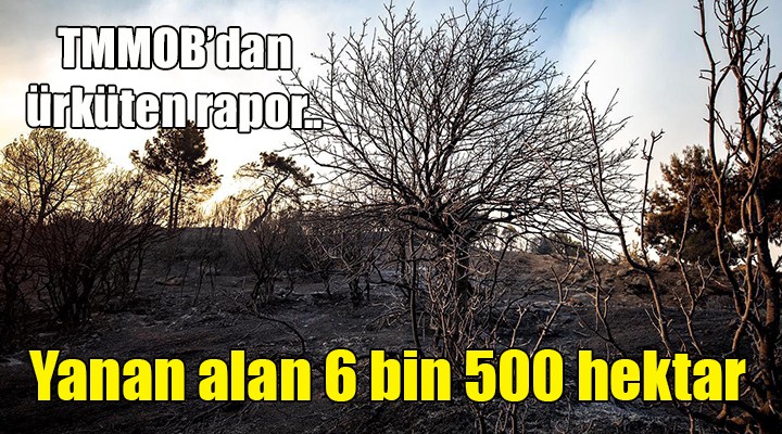 Yanan alan 6 bin 500 hektar