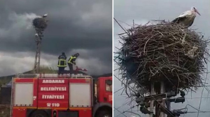 Yangın çıktı, 4 yavrusunu bırakmadı