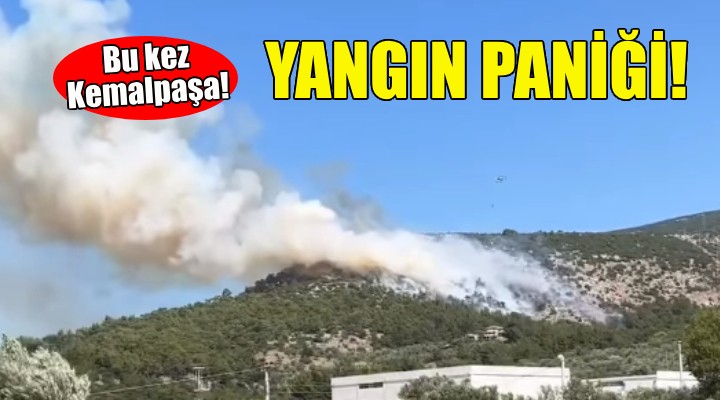 Yangın paniği... Bu kez Kemalpaşa!