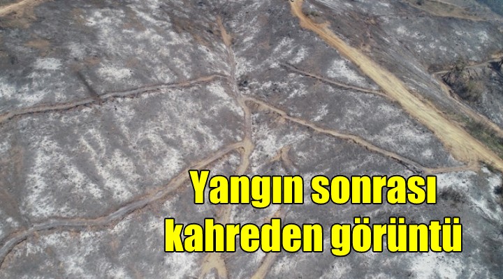 Yangın sonrası kahreden görüntü...