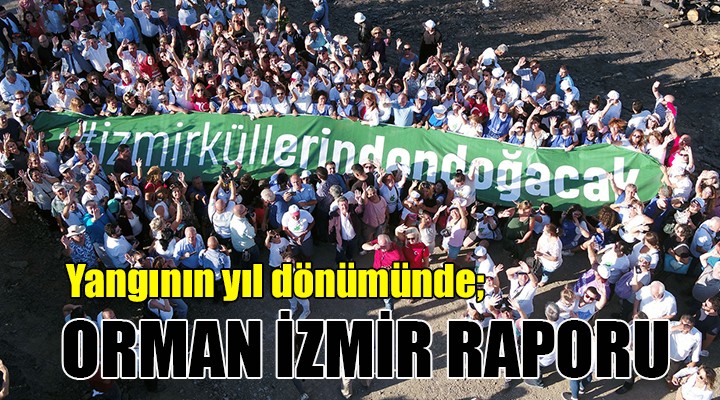 Yangının yıl dönümünde  Orman İzmir  raporu