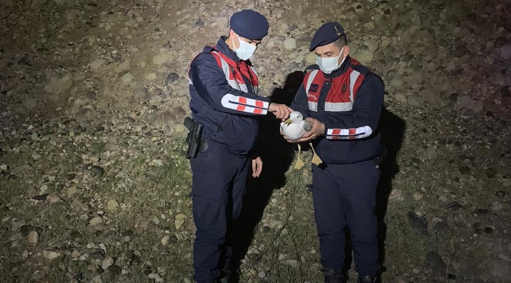 Yaralı martıyı jandarma ekipleri kurtardı