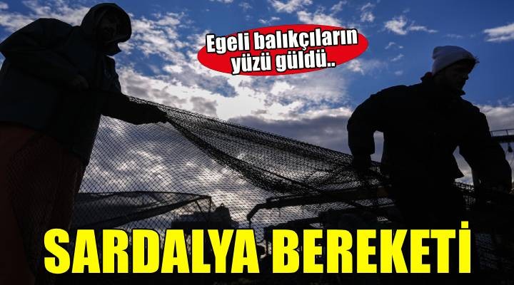 Yarısı tamamlanan av sezonunda hamsi ve sardalya yüz güldürdü