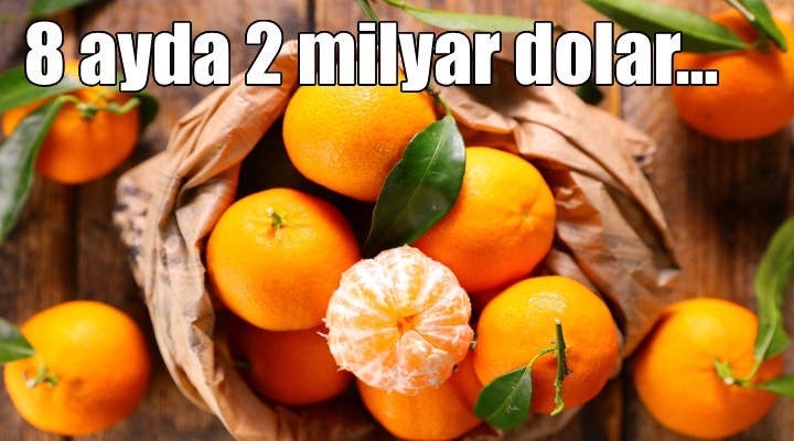 Yaş meyve sebze ihracatı 8 ayda 2 milyar doları aştı