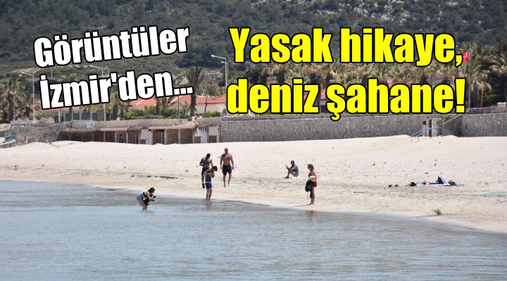 Yasak hikaye, deniz şahane!