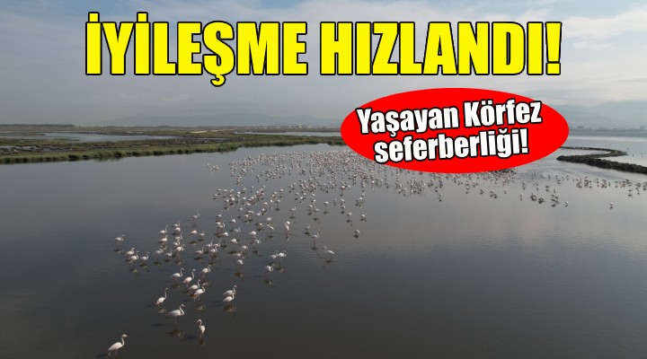 Yaşayan Körfez seferberliği!