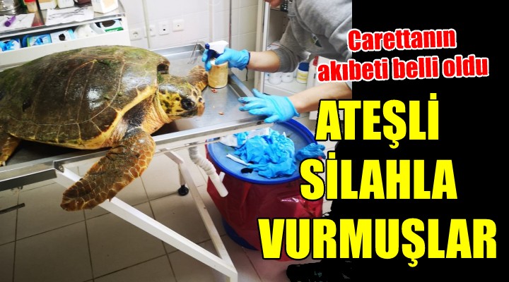 Carettayı silahla vurmuşlar!