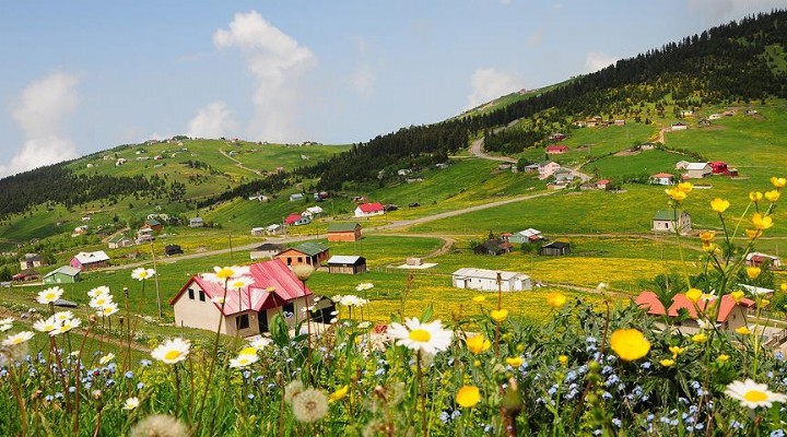 Yaylalar da ranta açılıyor...