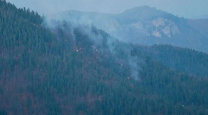 Yedigöller Milli Parkı nda orman yangını