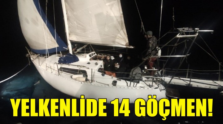 Yelkenlide 14 göçmen!