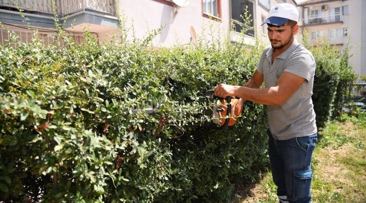 Yemyeşil bir Yunusemre için çalışmalar aralıksız devam ediyor