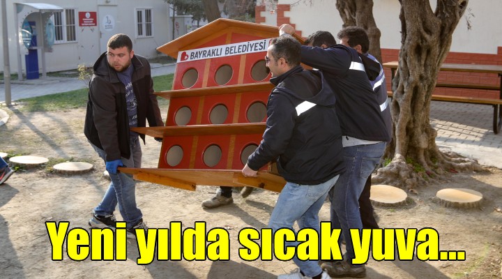 Yeni yılda ‘sıcak yuva’