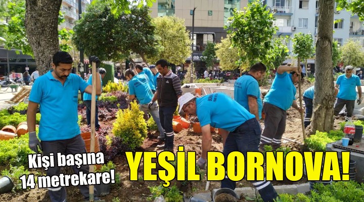 Yeşil Bornova... Kişi başına 14 metrekare!