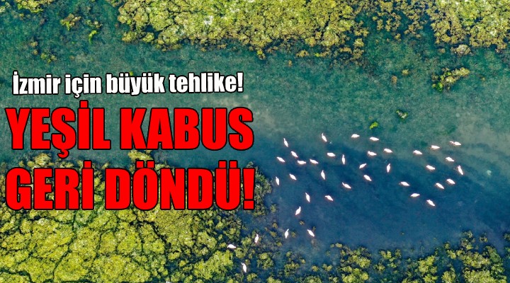 Yeşil kabus geri döndü!