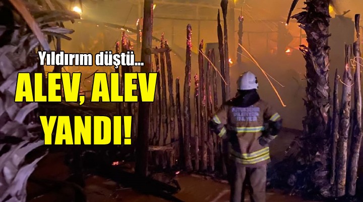 Yıldırım düştü, alev alev yandı!