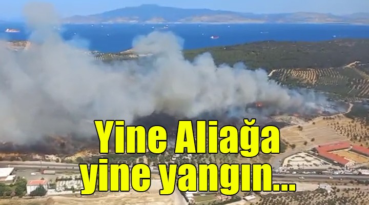 Yine Aliağa yine yangın!