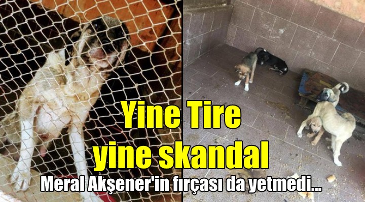 Yine Tire, yine skandal! Akşener in fırçası da yetmedi...