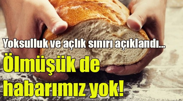 Yoksulluk sınırı ve açlık sınırı açıklandı... Ölmüşük de habarımız yok!