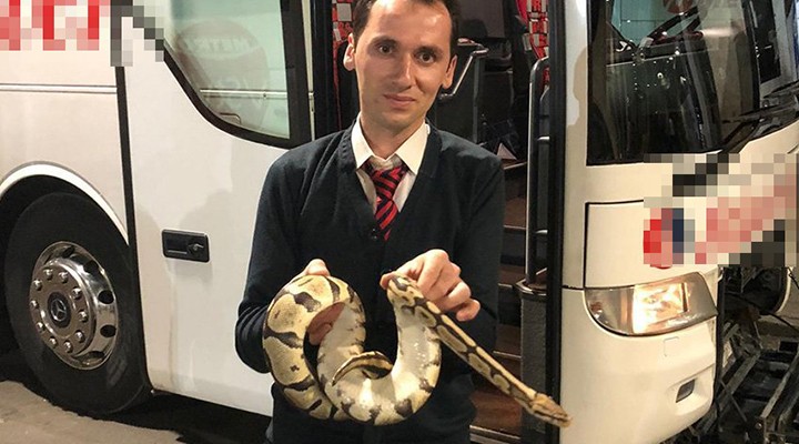 Yolcu otobüsünde yılan paniği
