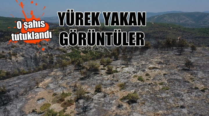 Yürek yakan görüntüler... O ŞAHIS TUTUKLANDI