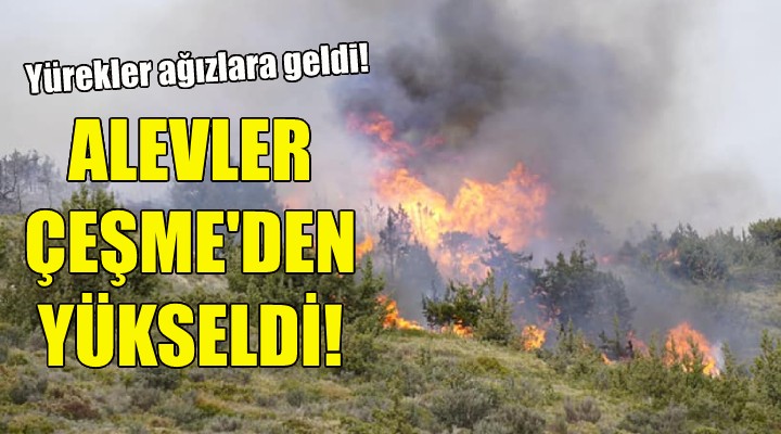 Yürekler ağızlara geldi... Alevler Çeşme den yükseldi!