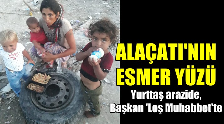 Yurttaş arazide, Başkan Loş Muhabbet te... ALAÇATI NIN ESMER YÜZÜ