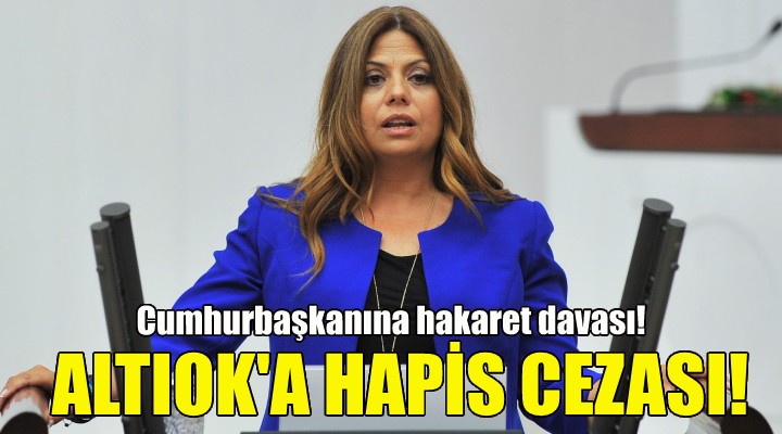 Zeynep Altıok a hapis cezası!