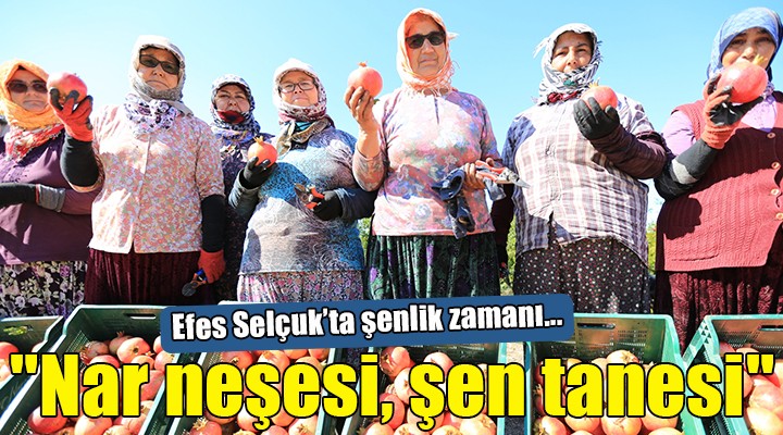 Zeytinköy de  Nar neşesi, şen tanesi  şenliği...