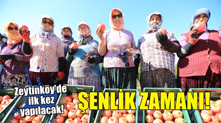 Zeytinköy ün ilk nar şenliği için geri sayım!