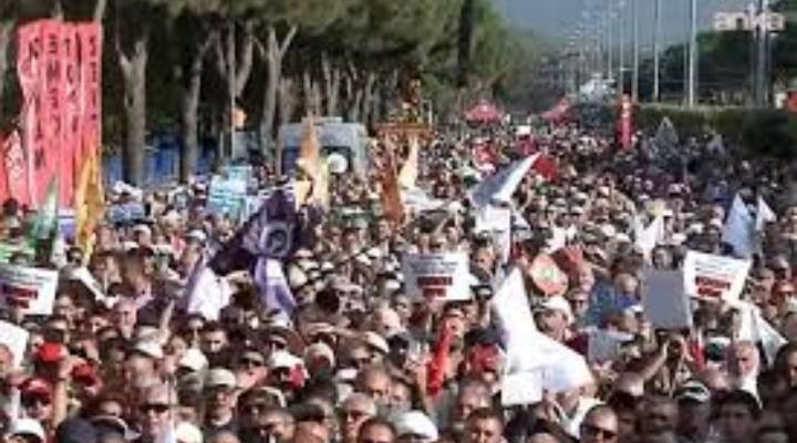 Zeytinlik talanına karşı Muğla da miting: Özgür Özel konuşacak
