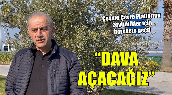 Çeşme Çevre Platformu zeytinlikler için harekete geçti:  DAVA AÇACAĞIZ 