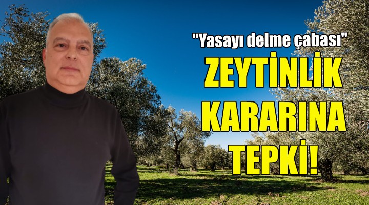 Ziraat Mühendisleri Odası: Zeytincilik Yasası nı delme çabası, ÇED davalarını da uzatacak!