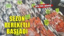 Ege'de balık bereketi; lüfer bile ağlara takıldı