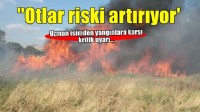 'Temizlenmeyen otlar yangın riskini artırıyor'