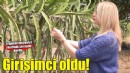 Üniversiteli İlay'ın zayıflamak için başladığı meyve serüveni girişimciliğe dönüştü