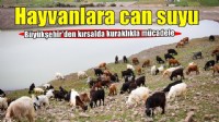 100 göletle hayvanlara can suyu