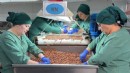 124 ülke fındık için Türkiye'ye para yağdırdı