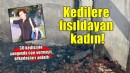 30 kedisiyle yangında can vermişti... ''Ona kedilere fısıldayan kadın'' derlerdi!