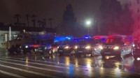 45 ilde 'Narko Pars' operasyonu: 352 şüpheli yakalandı