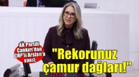AK Partili Çankırı'dan CHP'li Arslan'a yanıt: Rekorunuz İzmir'i kokutan çamur dağları