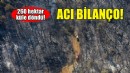 Acı bilanço... İzmir'de 260 hektar küle döndü!