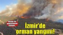 Aliağa'da orman yangını!