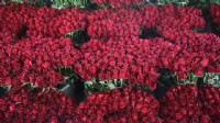 Anneler Günü yaklaşırken gül fiyatları uçtu