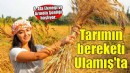 Ata Ekmeği ve Armola Şenliği, Karakılçık Rotası Lansmanıyla Ulamış’ta!