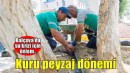 Balçova Belediyesi’nden park ve yeşil alanlarda su tasarrufu